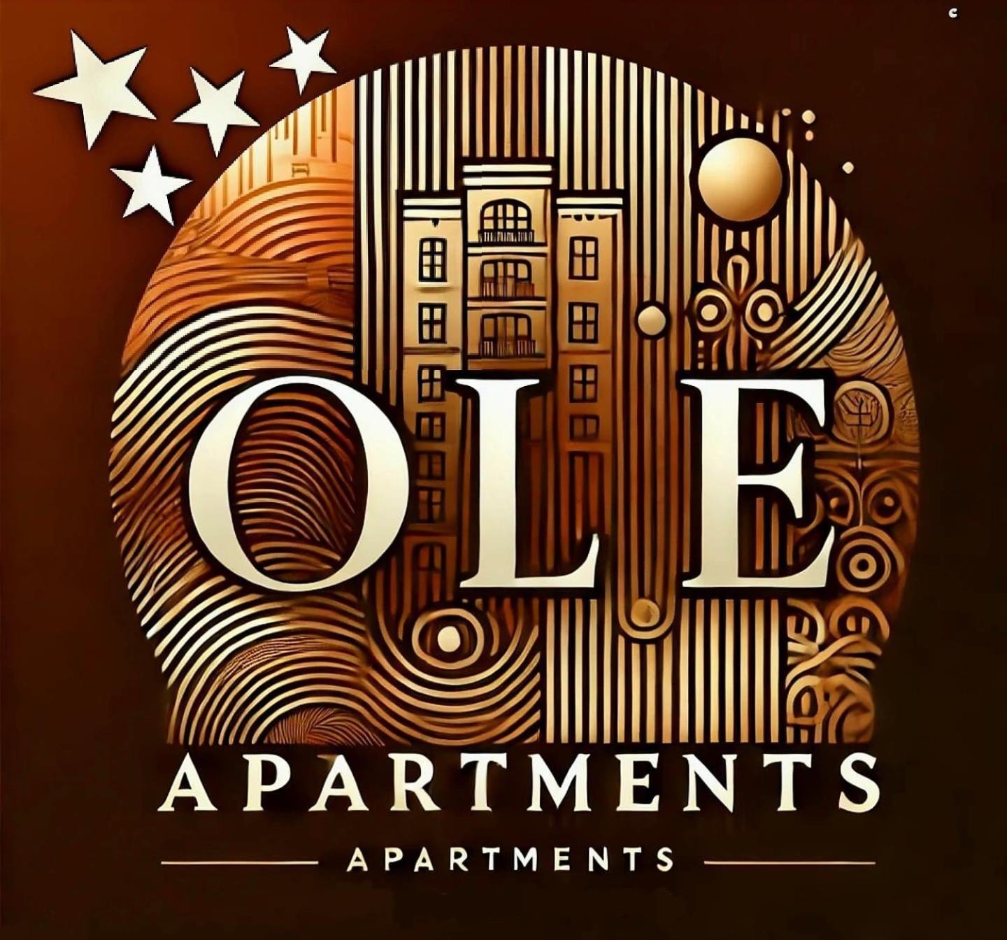 Ole Apartment - Get Your Energy For Free! Coffee And Tea On The House טימישוארה מראה חיצוני תמונה
